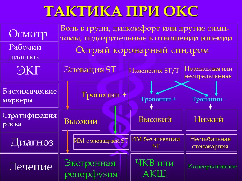 ТАКТИКА ПРИ ОКС Осмотр Рабочий диагноз ЭКГ Биохимические  маркеры Стратификация риска Диагноз Лечение
